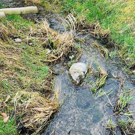 Theodor - Wandern Am Biggesee