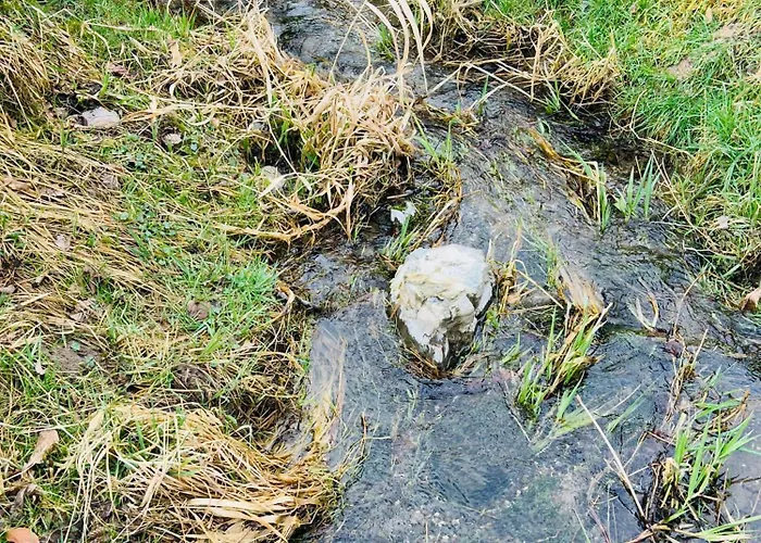 Theodor - Wandern Am Biggesee