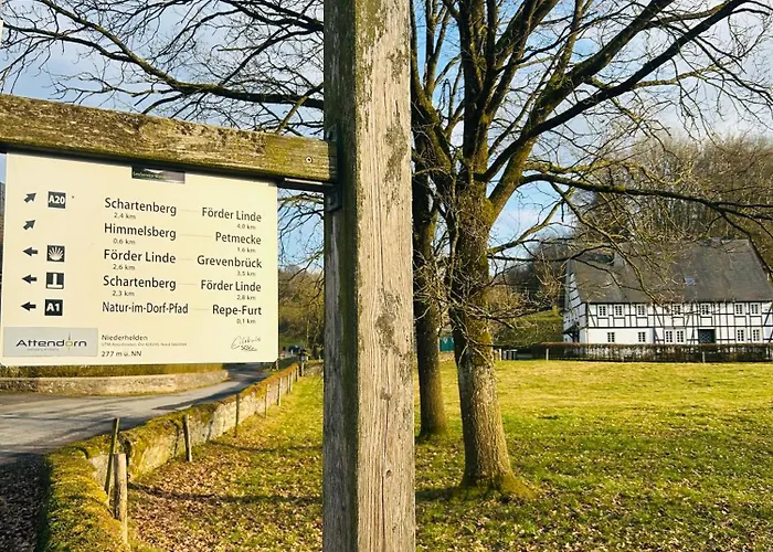 Theodor - Wandern Am Biggesee *