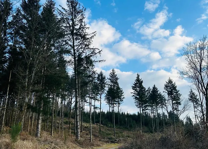 아파트 Theodor - Wandern Am Biggesee