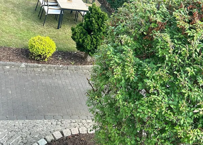 Theodor - Wandern Am Biggesee *